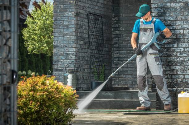 Animal Enclosure Cleaning in Garden View, PA
